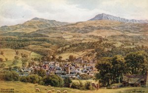 Dolgelley and Cader Idris by Alfred Robert Quinton