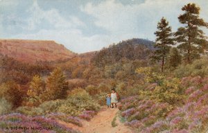 Hindhead by Alfred Robert Quinton