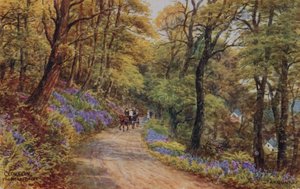 Hobby Drive, Clovelly by Alfred Robert Quinton