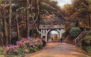 The Chine Gardens, Boscombe by Alfred Robert Quinton
