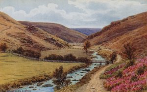 The Doone Glen, Lynton by Alfred Robert Quinton