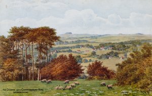 The Downs with Chantonbury Ring, Nr Worthing by Alfred Robert Quinton