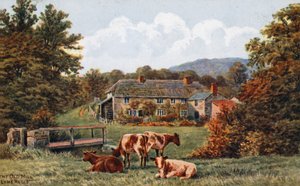 The Old Mill, Lyme Regis by Alfred Robert Quinton