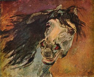Head of an Andalusian Horse