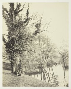 On the Mole