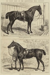 The Horse Show at the Agricultural Hall, Islington by Alfred Sheldon Williams