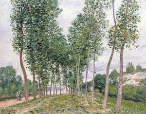 The Avenue of Poplars along the Banks of the Loing by Alfred Sisley