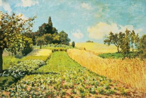 Wheat Field