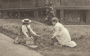 A Flowerbed at Oaklawn by Alfred Stieglitz