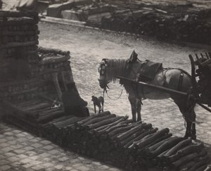 A Snapshot, Paris