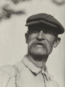 Bly by Alfred Stieglitz