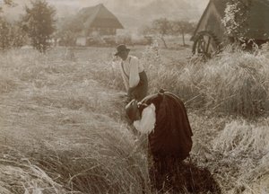 Early Morning by Alfred Stieglitz