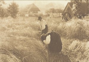 Early Morn, 1894