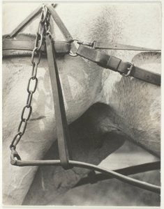 Equivalent, Spiritual America by Alfred Stieglitz
