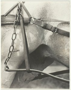 Equivalent, Spiritual America by Alfred Stieglitz