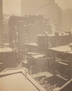 From the Back-Window "291"