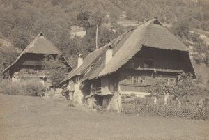 Gutach Houses by Alfred Stieglitz