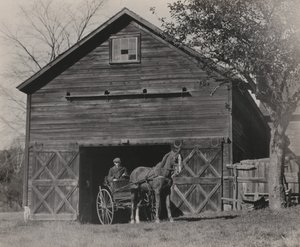 Horse and Carriage by Alfred Stieglitz
