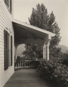 House, Leaves and Tree