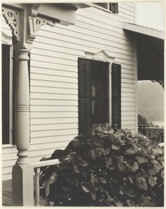 House and Grape Leaves by Alfred Stieglitz