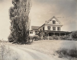 House and Poplars, Lake George by Alfred Stieglitz