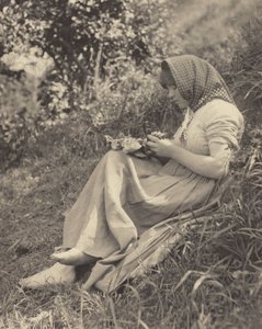 In Full Sunlight by Alfred Stieglitz