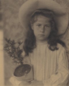 Kitty—Flower-Pot by Alfred Stieglitz