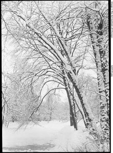 Snowscape, Berlin by Alfred Stieglitz