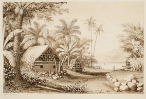 Tombs at Muthuata Island, Fiji by Alfred Thomas Agate