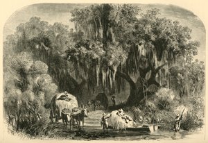 The Moss-Gatherers, 1872