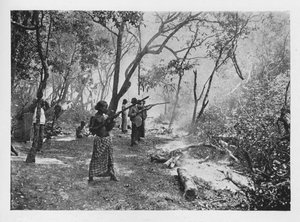 Elephant Kraaling in Ceylon Towards the Stockade by Alfred William Amandus Plate