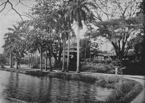 Kandy - A Picturesque Corner of the Lake, c. 1890 by Alfred William Amandus Plate