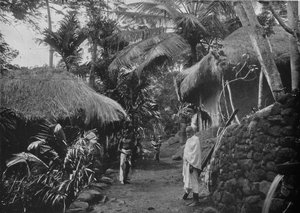 Native Huts in the Jungle by Alfred William Amandus Plate