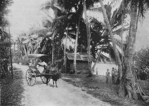 Road Beside the Kelaniya River, c1890 by Alfred William Amandus Plate