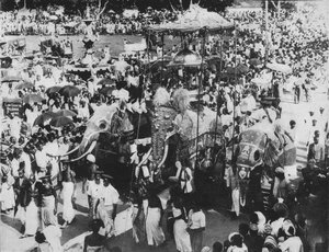 Sacred Elephant in the Perahera Procession, Kandy, Ceylon, c1890, 1910 by Alfred William Amandus Plate