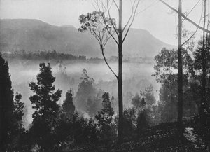 The Early Morning Mist Rising at Nuwara Eliya by Alfred William Amandus Plate