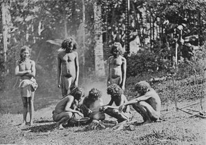 Veddahs or Wild Men by Alfred William Amandus Plate