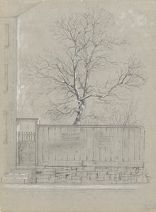 Billboard and Tree