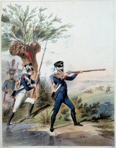 Napoleonic Army: Imperial Guard. Engraving by Alfred De Marbot (19th century) 1809. Malmaison, Musee Du Chateau. by Alfred de (after) Marbot