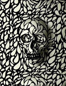 Intricate Skull Illusion