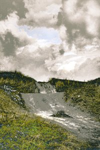 Beach Path, 2018