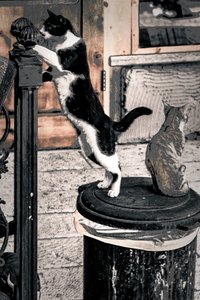 Curiosity, 2017