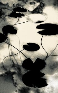 Gold Dust Shadows, from the series Spring, 2020