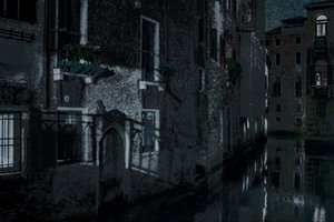 Moonshadows, Venice, 2018