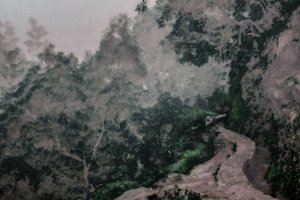 Path on the Levadas, 2020