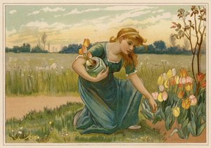 The Daisy