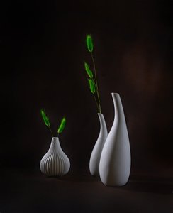 Elegant Vases Greenery by Alice Sheng