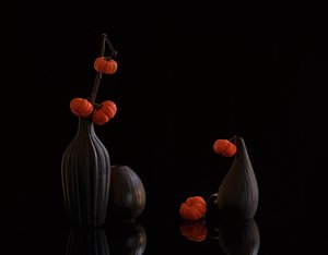 Orange Pumpkins Dark Vases by Alice Sheng
