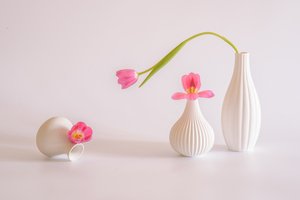 Pink Tulips White Vases by Alice Sheng