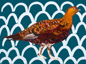 Red Grouse Teal Pattern